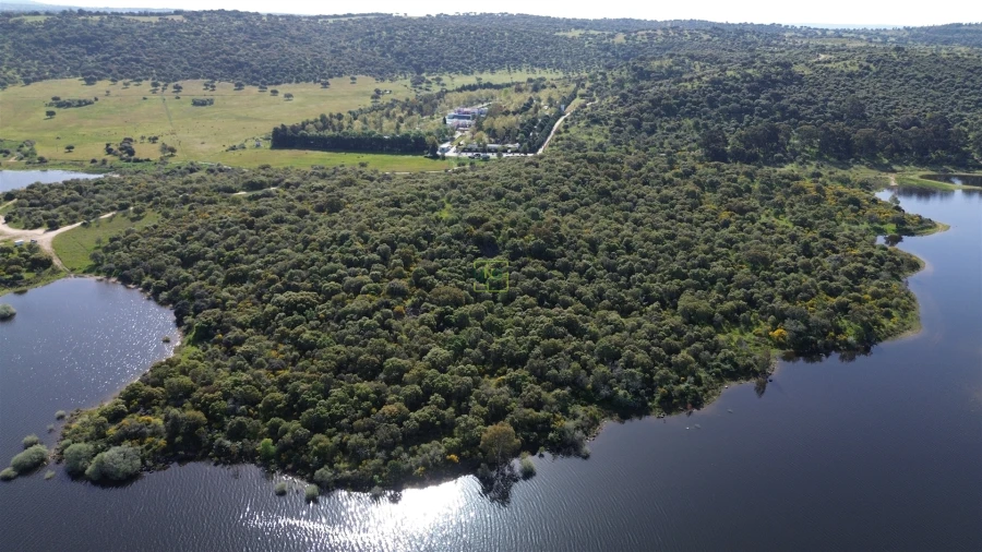 Terreno para Venda em Idanha-A-Nova e Alcafozes Foto 12