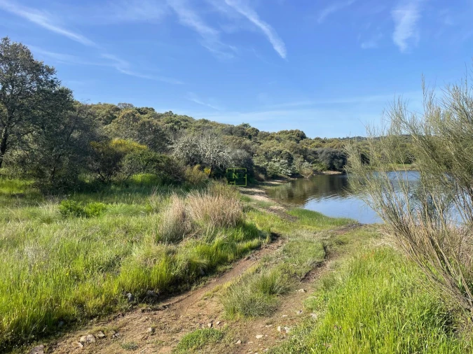 Terreno para Venda em Idanha-A-Nova e Alcafozes Foto 46