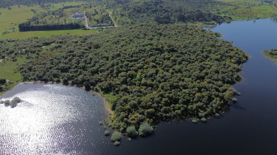 Terreno para Venda em Idanha-A-Nova e Alcafozes Foto 7