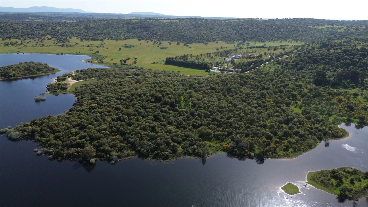 Terreno para Venda em Idanha-A-Nova e Alcafozes Foto 3