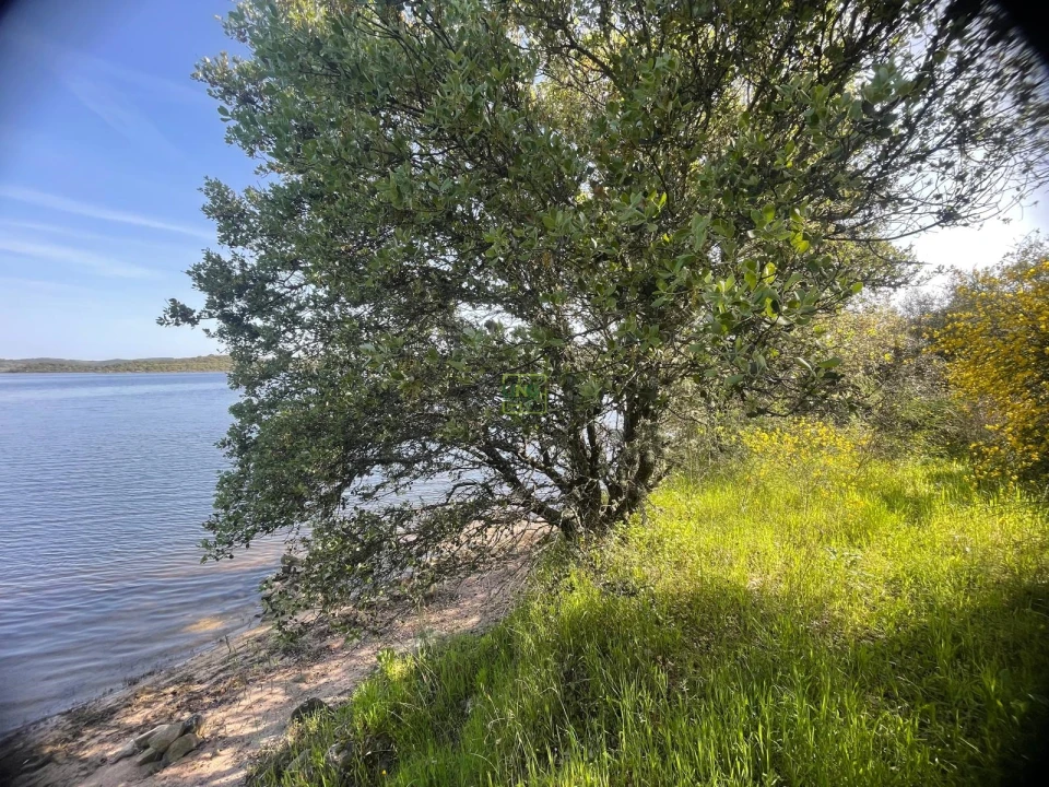 Terreno para Venda em Idanha-A-Nova e Alcafozes Foto 36