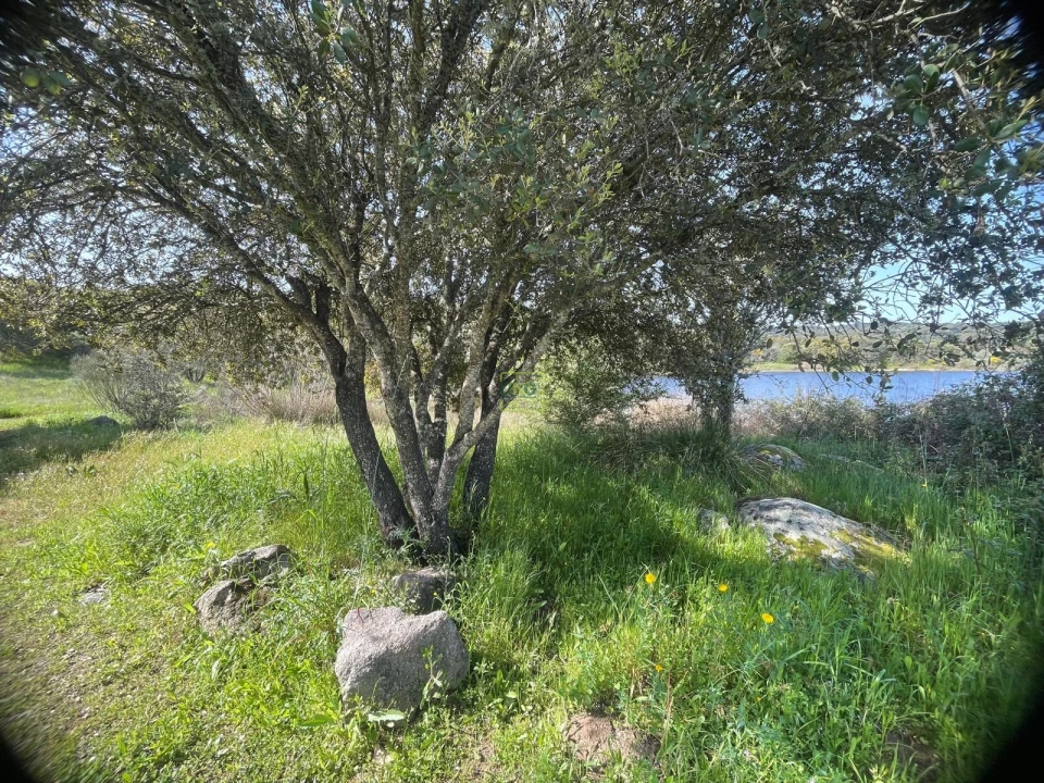 Terreno para Venda em Idanha-A-Nova e Alcafozes Foto 20