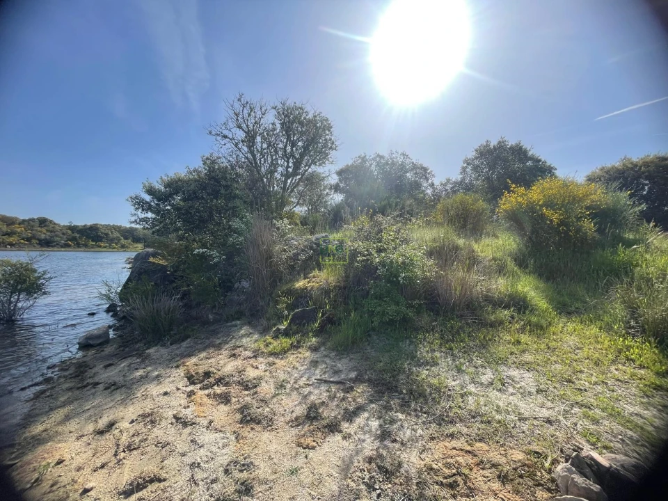 Terreno para Venda em Idanha-A-Nova e Alcafozes Foto 18