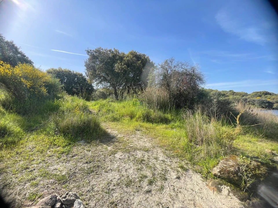 Terreno para Venda em Idanha-A-Nova e Alcafozes Foto 17