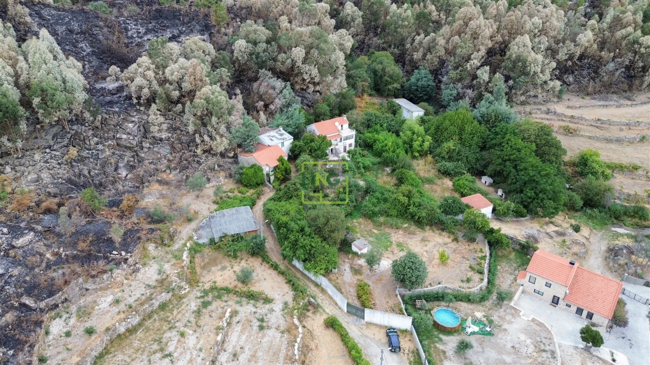 Quinta T4 para Venda em Louriçal do Campo Foto 48