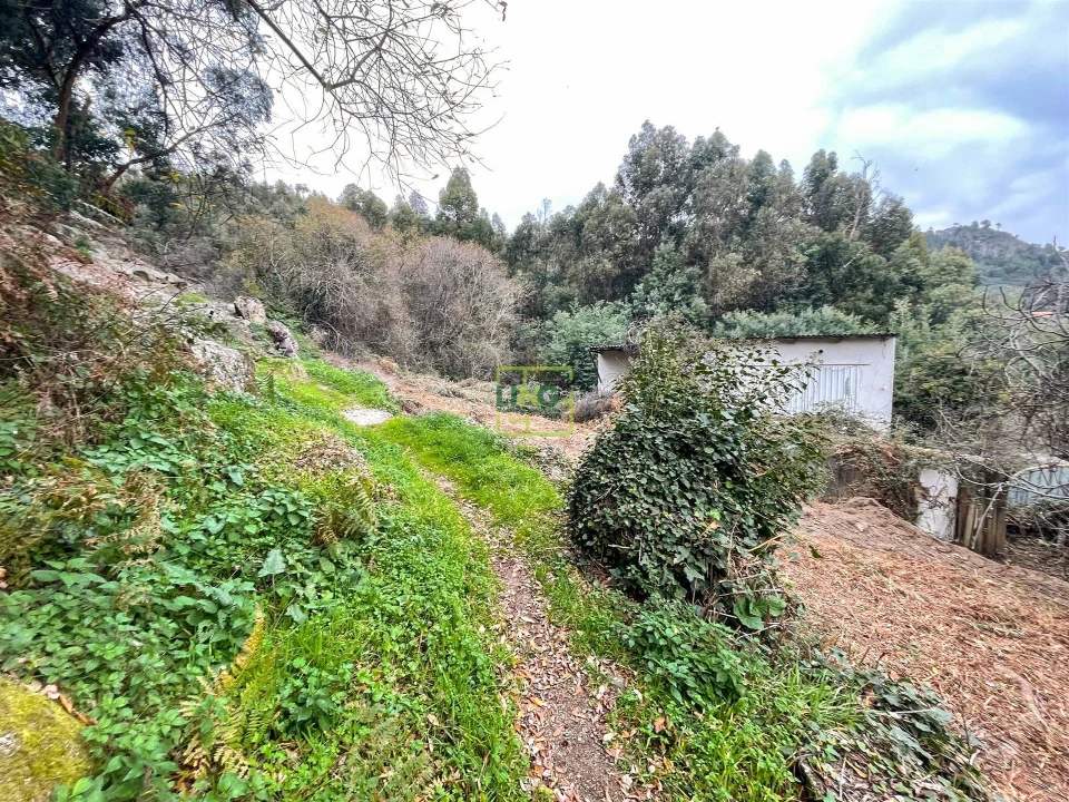 Quinta T4 para Venda em Louriçal do Campo Foto 117