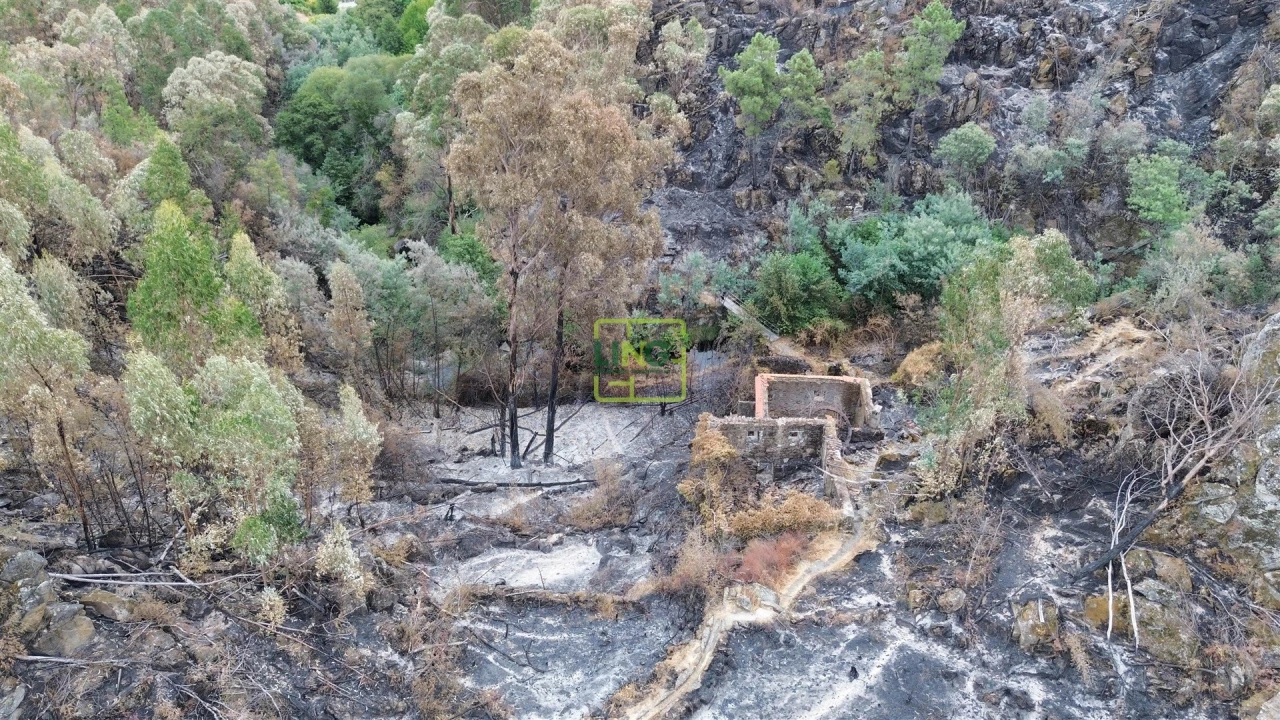 Quinta T4 para Venda em Louriçal do Campo Foto 47