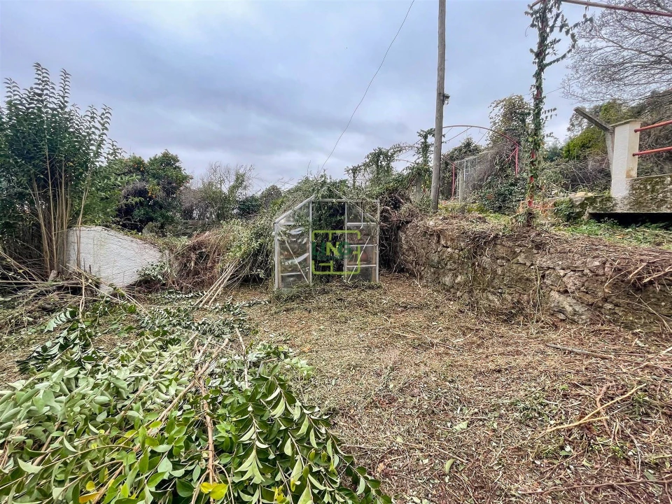 Quinta T4 para Venda em Louriçal do Campo Foto 37