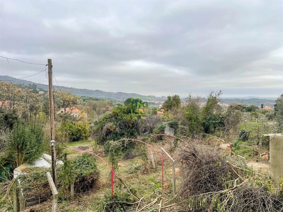 Quinta T4 para Venda em Louriçal do Campo Foto 129