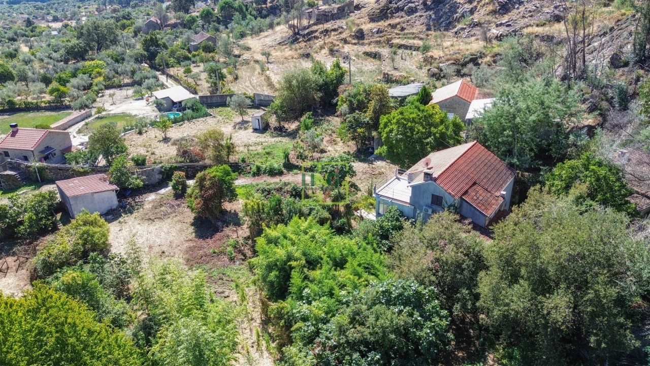 Quinta T4 para Venda em Louriçal do Campo Foto 77