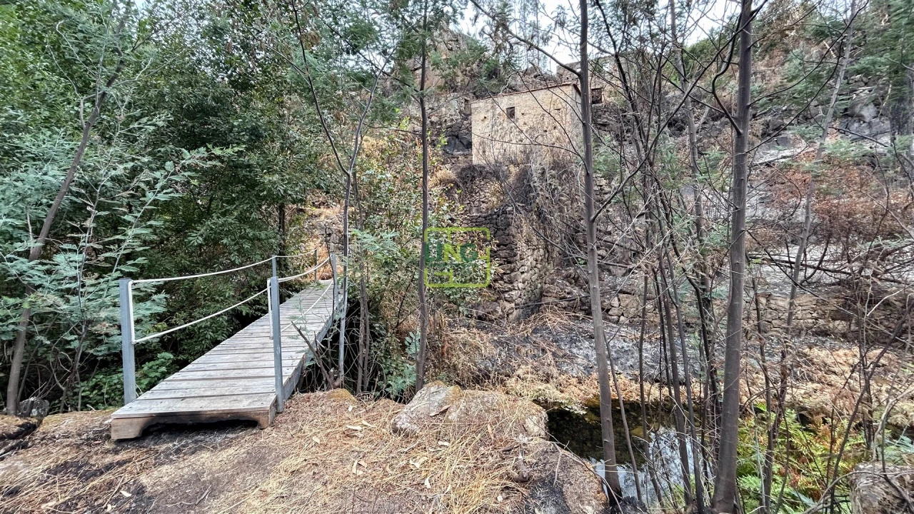 Quinta T4 para Venda em Louriçal do Campo Foto 90