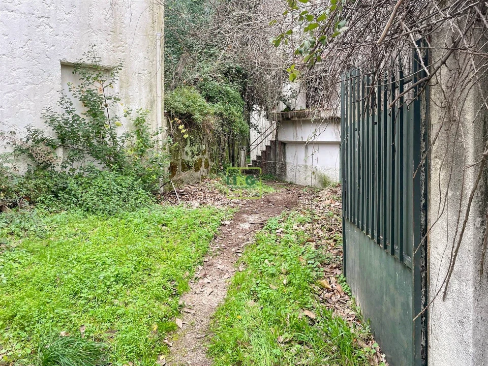 Quinta T4 para Venda em Louriçal do Campo Foto 23