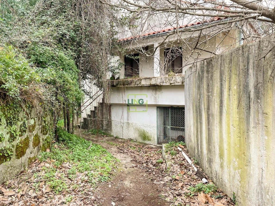 Quinta T4 para Venda em Louriçal do Campo Foto 12