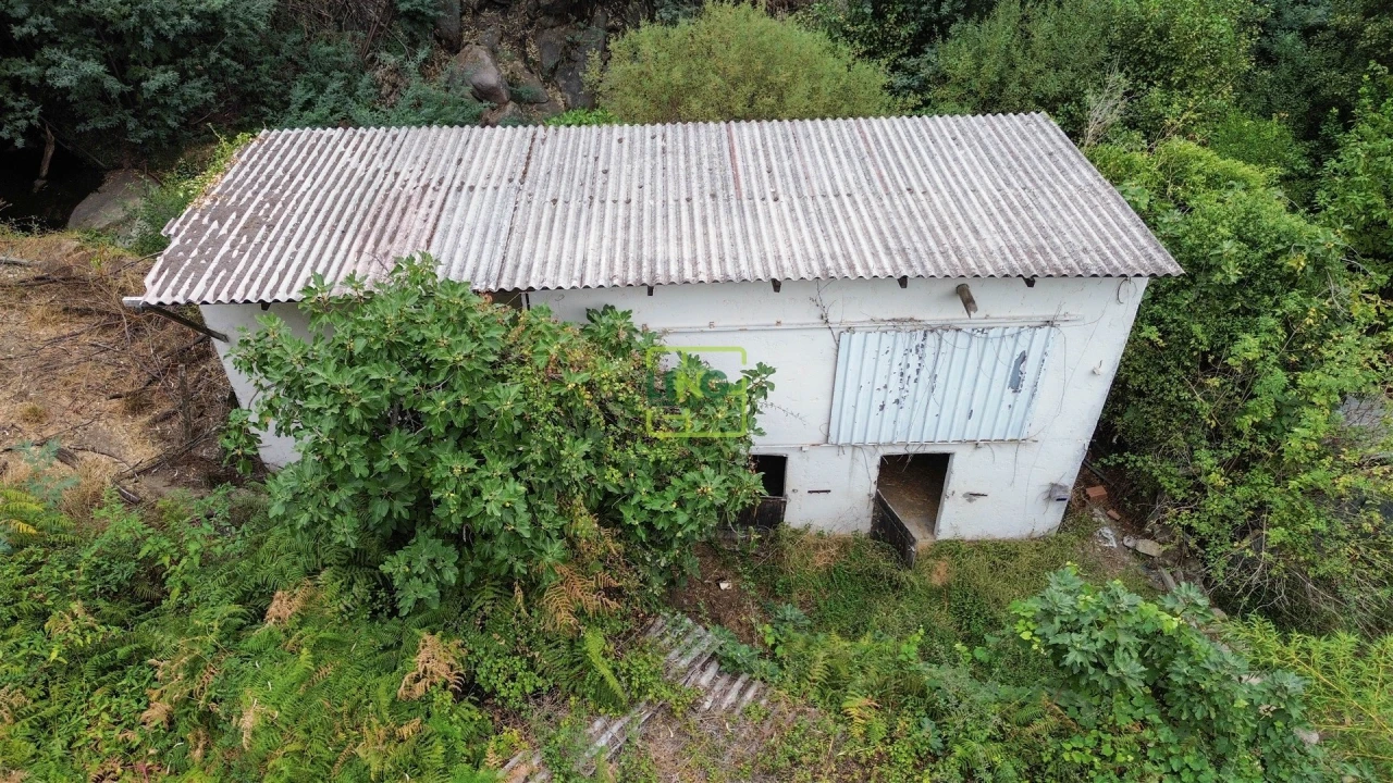 Quinta T4 para Venda em Louriçal do Campo Foto 55