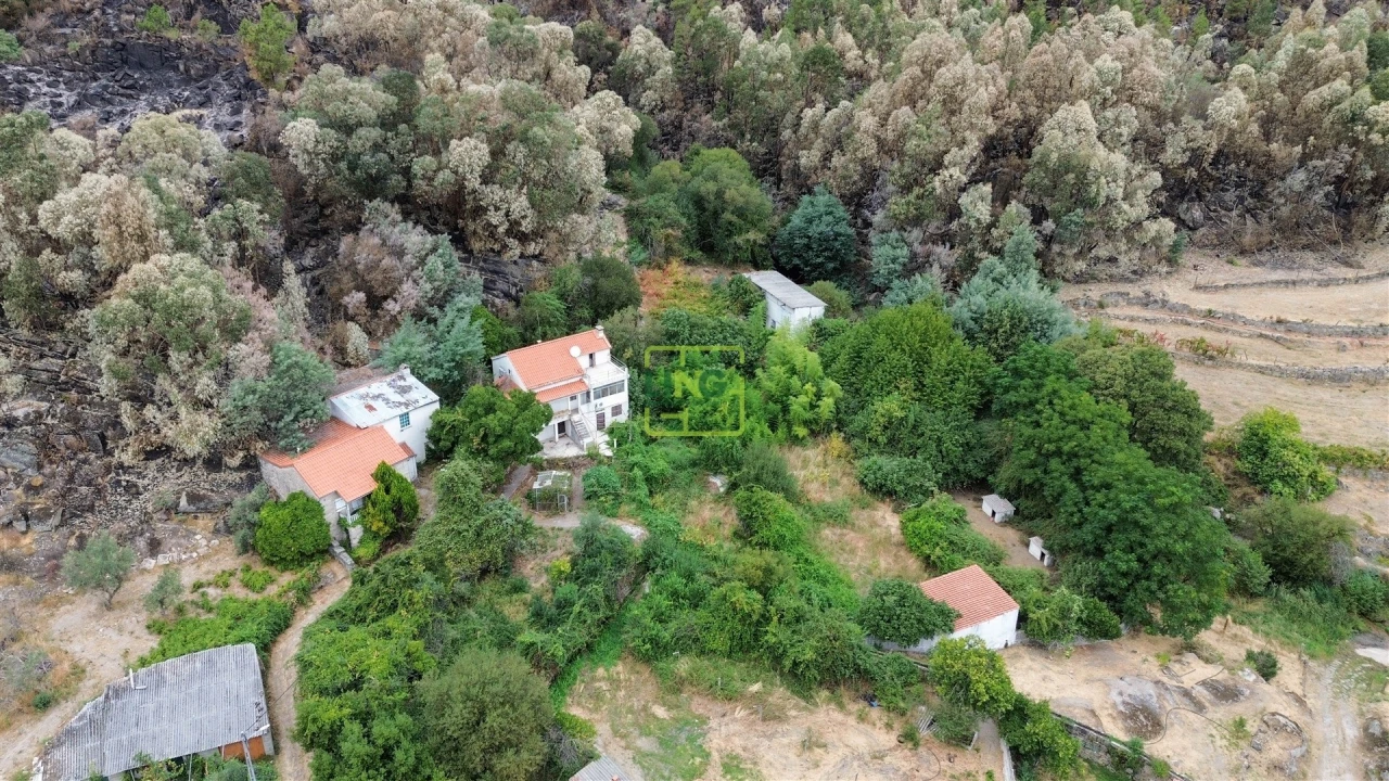 Quinta T4 para Venda em Louriçal do Campo Foto 67