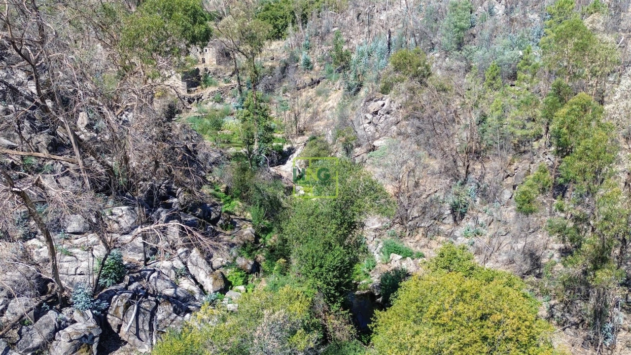 Quinta T4 para Venda em Louriçal do Campo Foto 76