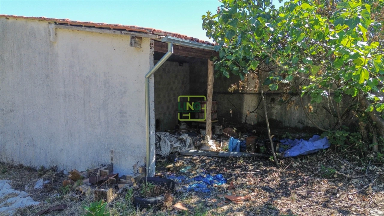 Quinta T4 para Venda em Louriçal do Campo Foto 83