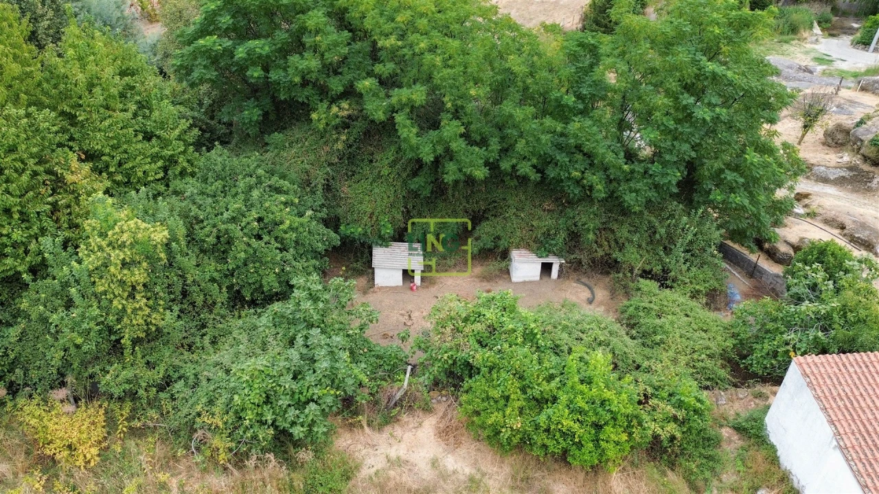Quinta T4 para Venda em Louriçal do Campo Foto 63