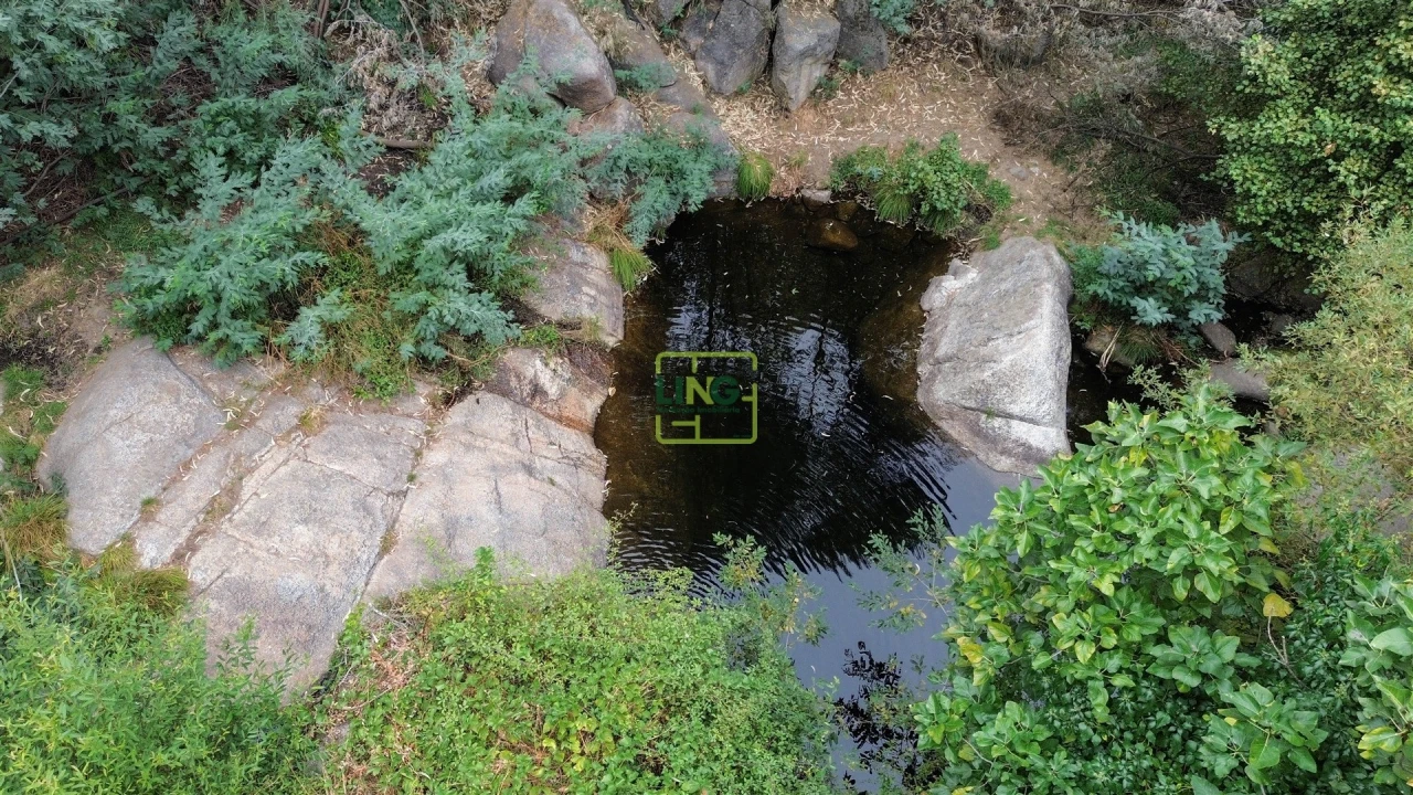 Quinta T4 para Venda em Louriçal do Campo Foto 56
