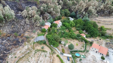 Quinta T4 para Venda em Louriçal do Campo