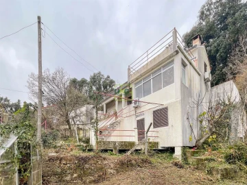 Quinta T4 para Venda em Louriçal do Campo
