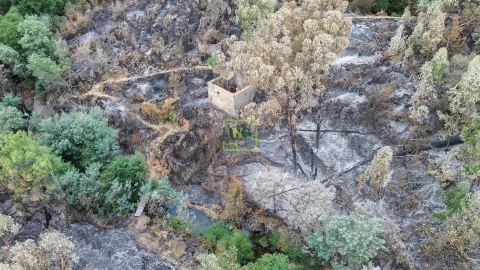Quinta T4 para Venda em Louriçal do Campo
