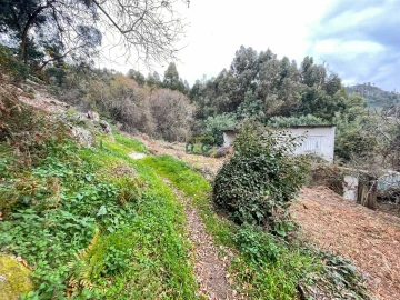 Quinta T4 para Venda em Louriçal do Campo