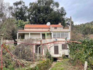 Quinta T4 para Venda em Louriçal do Campo