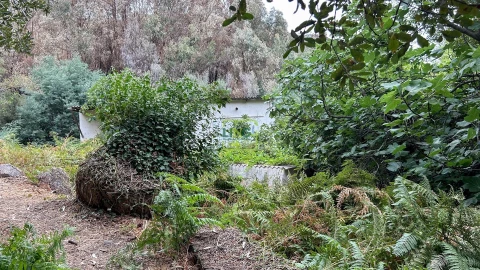 Quinta T4 para Venda em Louriçal do Campo