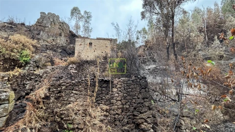 Quinta T4 para Venda em Louriçal do Campo