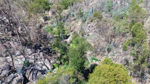 Quinta T4 para Venda em Louriçal do Campo