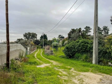 Quinta T4 para Venda em Louriçal do Campo