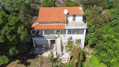 Quinta T4 para Venda em Louriçal do Campo