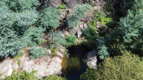 Quinta T4 para Venda em Louriçal do Campo