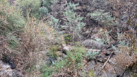 Quinta T4 para Venda em Louriçal do Campo