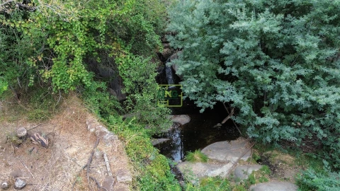 Quinta T4 para Venda em Louriçal do Campo