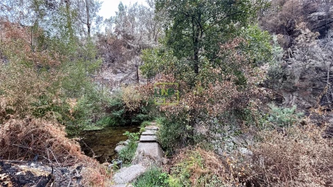 Quinta T4 para Venda em Louriçal do Campo