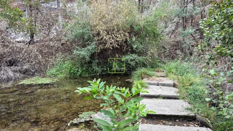Quinta T4 para Venda em Louriçal do Campo