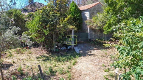 Quinta T4 para Venda em Louriçal do Campo