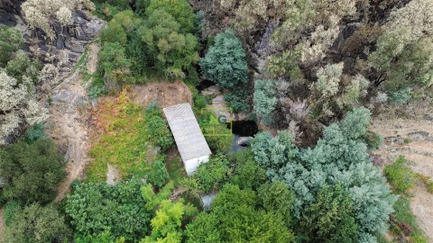 Quinta T4 para Venda em Louriçal do Campo