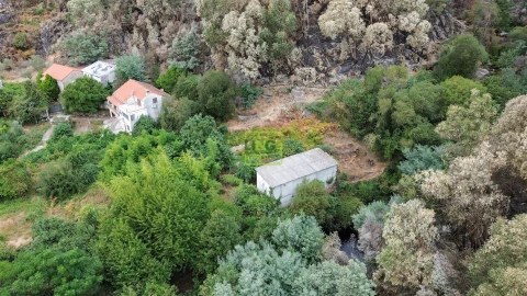 Quinta T4 para Venda em Louriçal do Campo