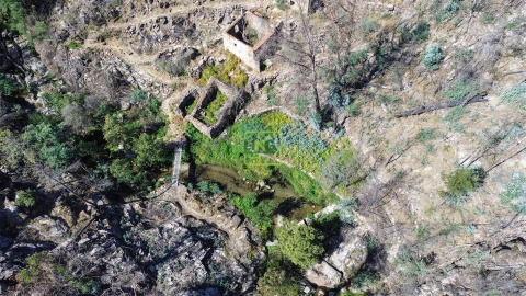 Quinta T4 para Venda em Louriçal do Campo