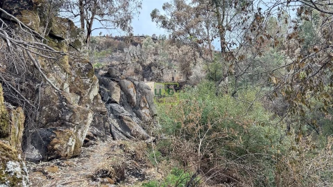 Quinta T4 para Venda em Louriçal do Campo