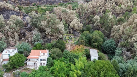 Quinta T4 para Venda em Louriçal do Campo