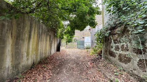 Quinta T4 para Venda em Louriçal do Campo