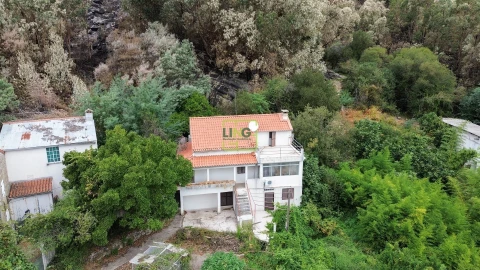 Quinta T4 para Venda em Louriçal do Campo