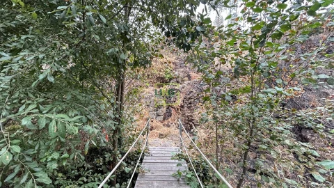 Quinta T4 para Venda em Louriçal do Campo