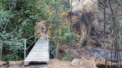 Quinta T4 para Venda em Louriçal do Campo