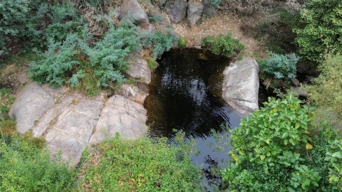 Quinta T5 para Venda em Louriçal do Campo
