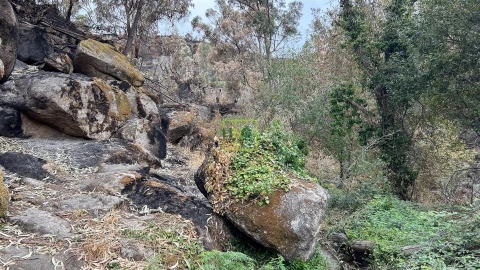 Quinta T4 para Venda em Louriçal do Campo